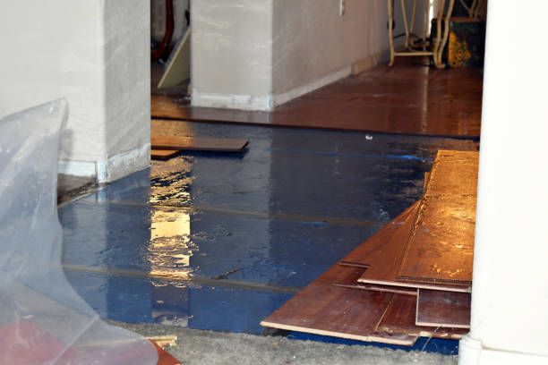 Professional Sewage Cleanup technician working in Woodleaf, NC